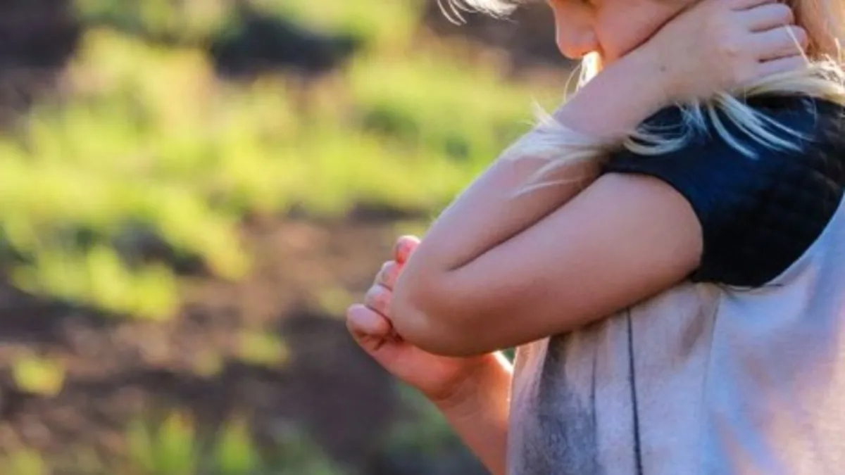 "Türkiye'de Ukraynalı çocuklara istismarın üstü kapatıldı" iddialarına yalanlama!