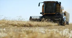 Mardin’de sezonun ilk arpa hasadı yapıldı