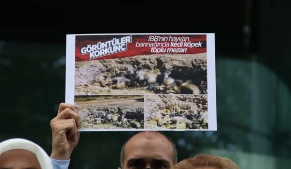 AK Parti'den CHP'li İBB'ye sert tepki! Ölen köpeğin vebali... - 4