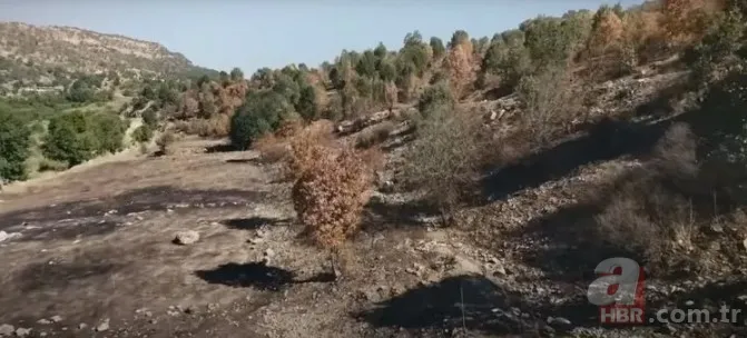 BBC'den skandal belgesel: Türkiye’yi hedef aldı, PKK’yı akladı 3