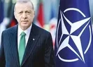 Başkan Erdoğandan peş peşe NATO teması