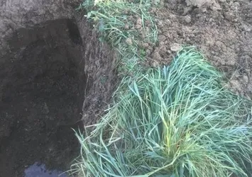 Evinin bahçesini köstebek yuvasına çevirdiler!