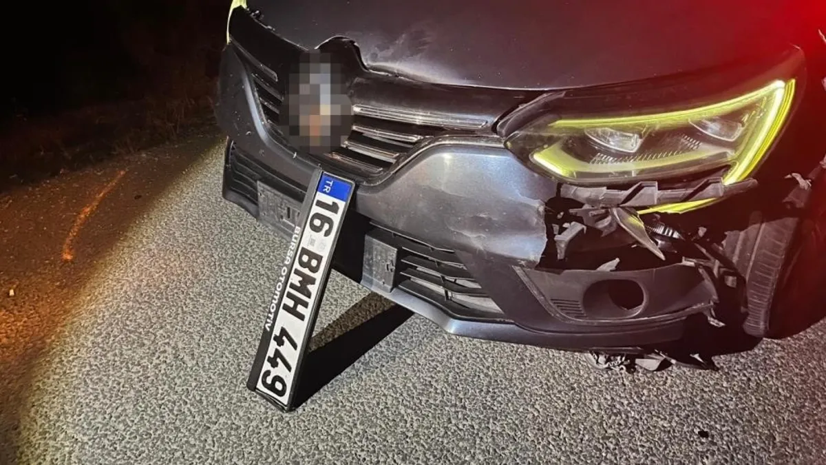 Bursa'da ayı ile çarpışan araç pert oldu