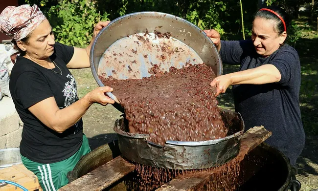 Binbir zahmetle üretilen defne yağının litresi 100 TL'ye satılıyor - 3