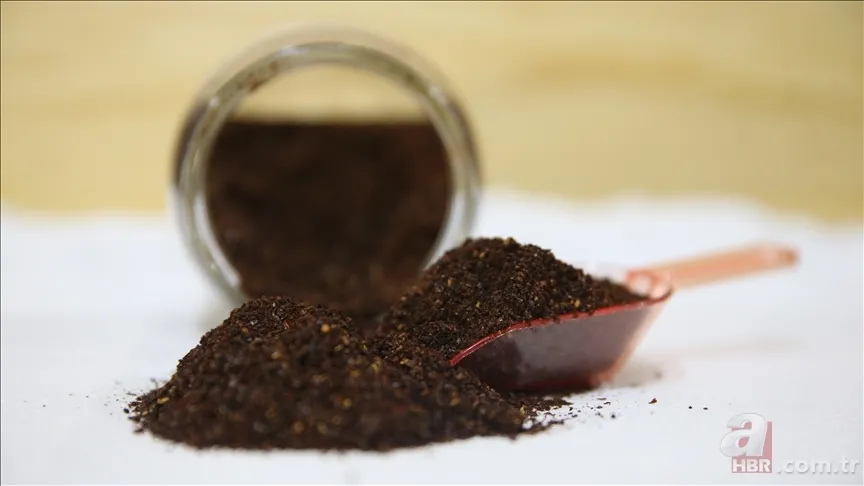 Hep karıştırılıyor! Pul biber ve isot arasındaki tek fark buymuş... 9