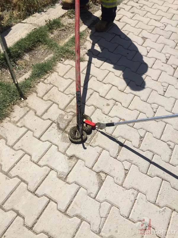 Sokakta korku dolu anlar! Yılan paniği ekipleri harekete geçirdi 1