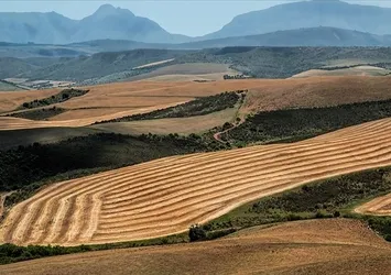 İstanbul'da en çok nerelerde 2B arazisi var? 5 milyon kişi tapusuna kavuşacak