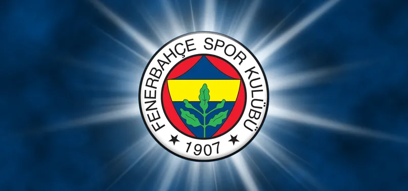 Emenike ve Van der Wiel affedildi