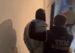 DEAŞ'a "yalnız kurt" operasyonu