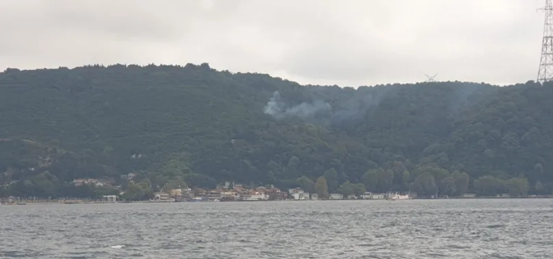 Son dakika: Beykoz'da orman yangını