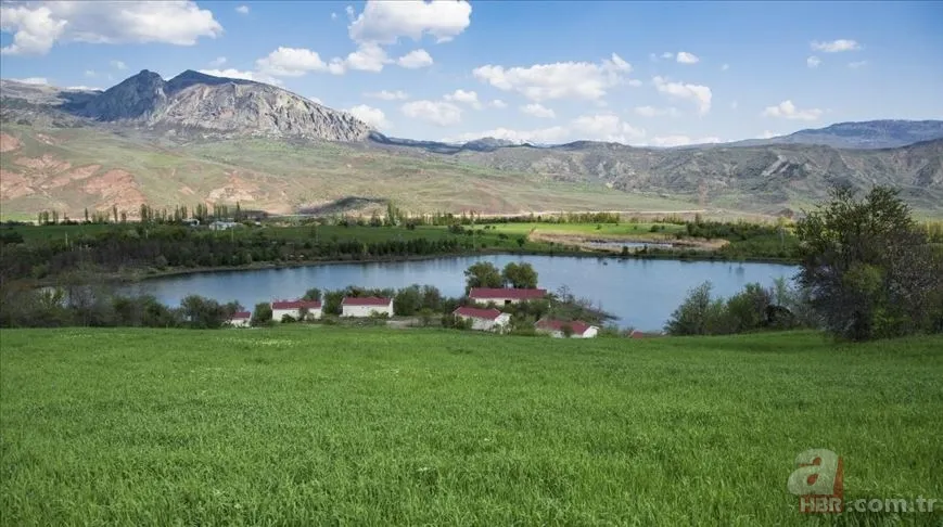 Sadece manzara değil, tedavi! Doğanın insan üzerindeki etkisi: Kokusu bile yetiyor 4