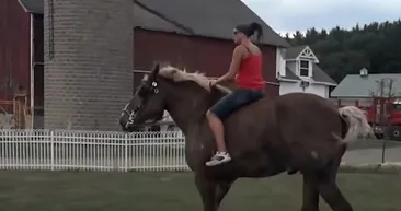ABD’de yasaklandı! Büyüklüğüyle dehşete düşürüyor