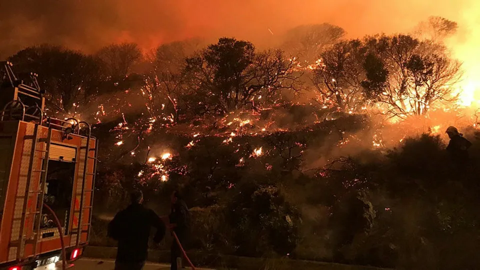Antalya Kaş'ta korkunç olay! 25 dönüm küle döndü
