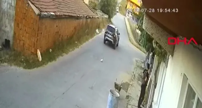 İstanbul’da kediyi ezen sürücü kamerada - 2