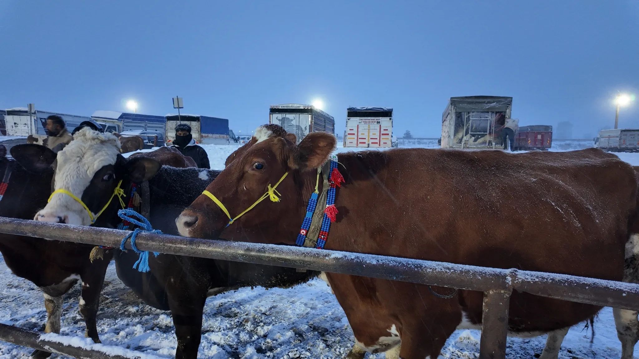 Kış şartları, Türkiye'nin en büyük hayvan pazarını olumsuz etkiledi