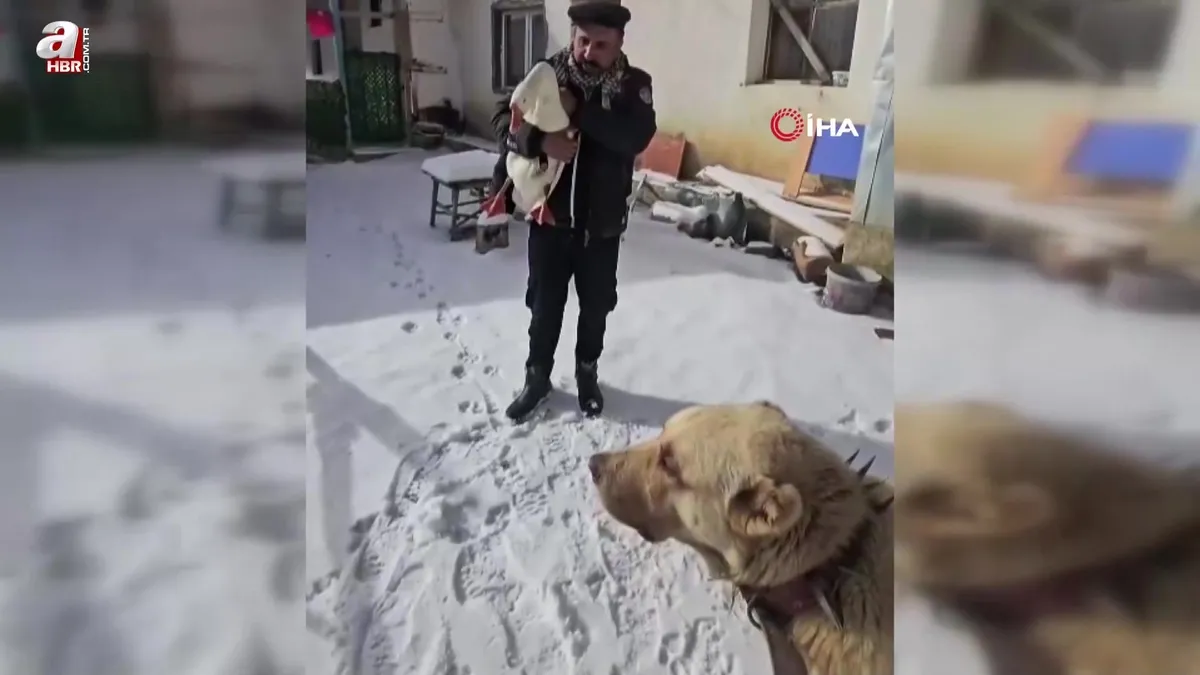 Kazından helallik istedi