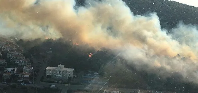 Son dakika: İzmir Çeşme’de orman yangını