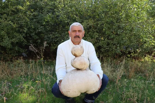 erzurumda-dev-mantar-gorenleri-saskina-cevirdi-1666766998372.jpg Erzurum’da yürürken buldu gözlerine inanamadı! Gerçeği öğrenince yıkıldı - 2