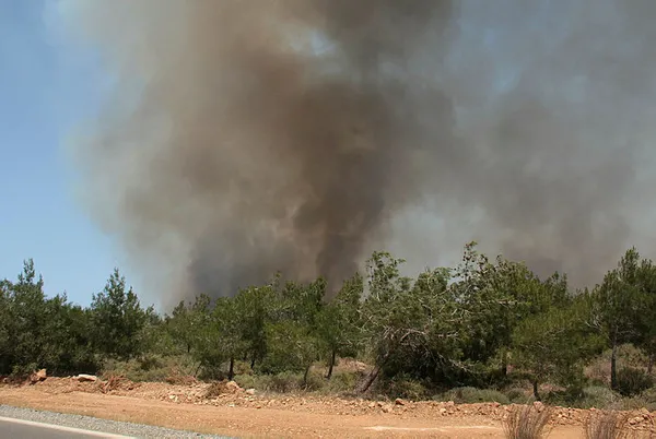 Son dakika: KKTC’deki yangın kontrol altına alındı