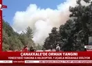 Çanakkalede orman yangını