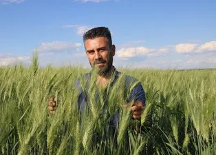 Arkeoloji kazılarında bulundu: 7 bin yıllık 3 kat daha fazla verimli buğday boy verdi! ’Buğday sorunu kalmayacak’🌾