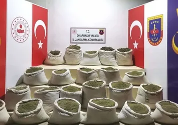 2022'de PKK'nın finans ayağı uyuşturucuya ağır darbe! 8,5 ton esrar ve 3 milyon 600 bin kök skunk ele geçirildi