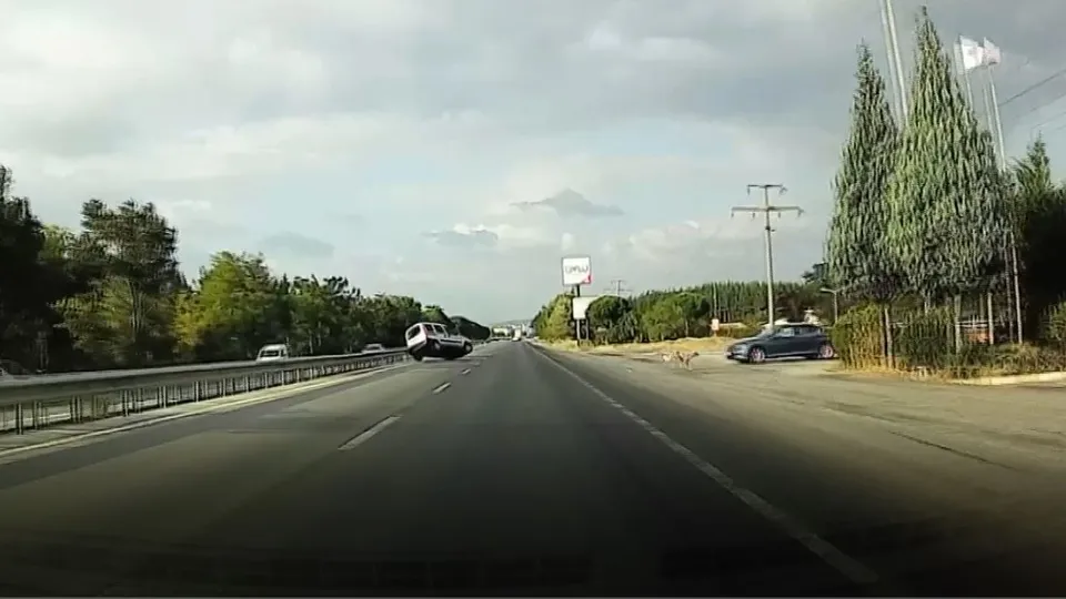 Köpeğe çarpmamak için takla attı