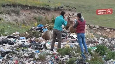 Ayıyla tehlikeli özçekim