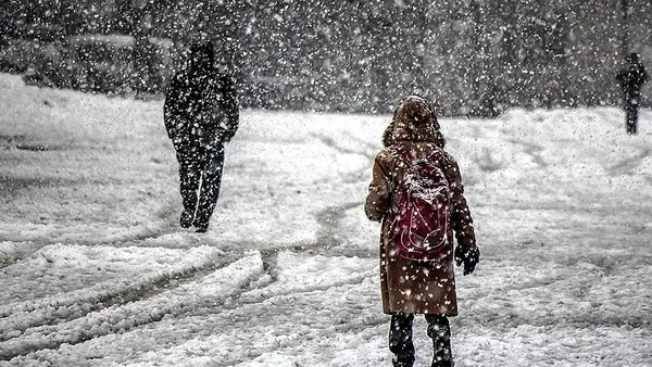 1700394058295.jpg Yarın Bolu, Bursa, Düzce'de okullar tatil mi? 20 Kasım Pazartesi okullar tatil edildi mi? Son dakika MEB-Valilik açıklamaları! - 5