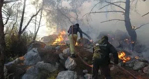 Yeşil Vatan için yeni istihdam!