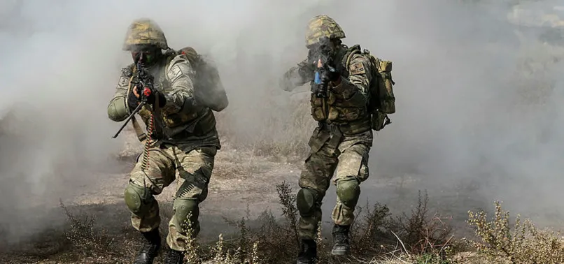 Türkiye DEAŞ'la mücadele eden tek ülke