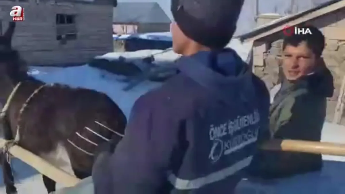 Van'da besicilerin kış mesaisi sürüyor