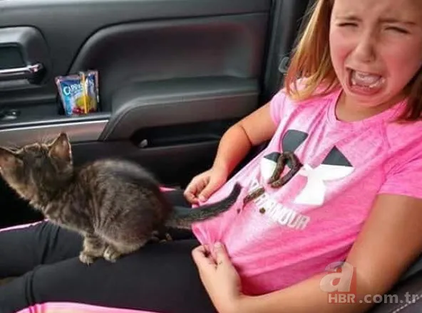 Anlamsız fotoğraflar 14