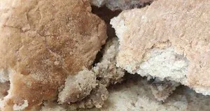 Ankara Halk Ekmek’te bir skandal daha!