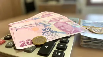 Şehit aileleri ve gazilere yeni haklar: Bazı ödemeler net asgari ücretin 2,5 katına çıkarıldı