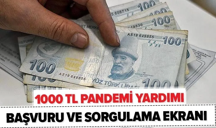 Pandemi yardımı sorgulama ekranı! e-Devlet 1000 TL sosyal yardım başvuru ve sorgulama nasıl yapılır?
