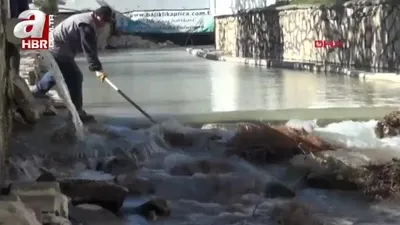 Doktor balıklar sel tehdidi altında!