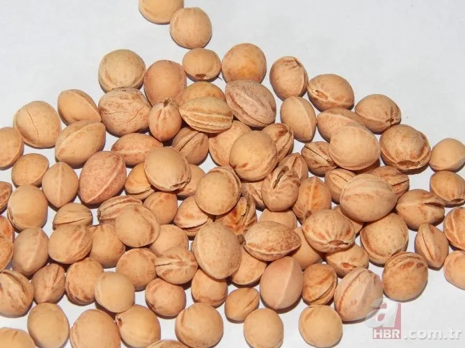 İbrahim Saraçoğlu'ndan ilaç gibi tavsiye! Karın şişkinliğini anında geçiriyor! Meğer bağırsaklara da iyi geliyormuş... 5