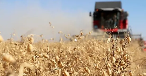 Tarımsal destek ödemeleri yattı mı? Milyonlarca çiftçiye müjde! 2022 tarımsal destek ödemeleri ne zaman yatar? 2-4-6-8 ile bitenler...