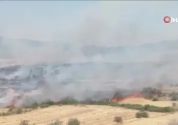 Kepsut'ta arazi yangını