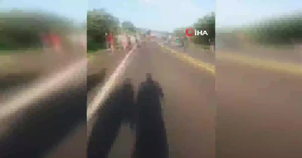 Brezilya'da katliam gibi kaza: 37 ölü, 15 yaralı