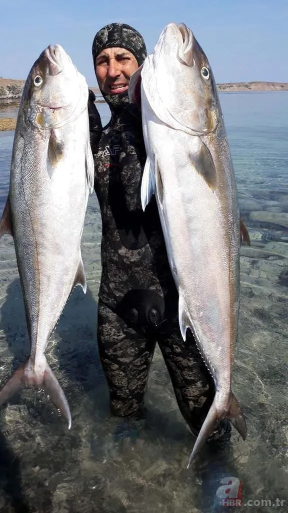 Tüpsüz dalışta, boyu büyüklüğünde balık avlıyor 2