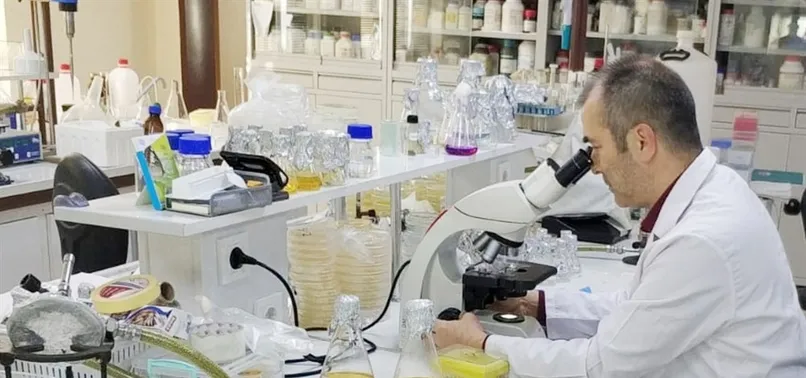 Bolu'da ortaya çıktı! İşte yeni bakteri türü