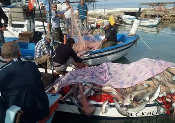 Lüfer avından 1,5 ton kefalle döndü