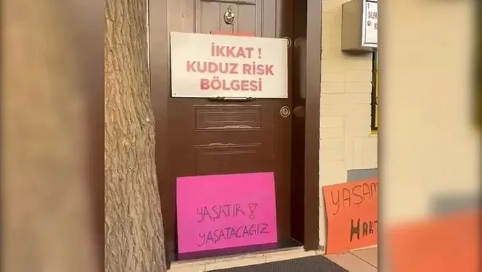 Köpek lobisinden mahalle muhtarına planlı saldırı! Kuduz vakasını önlediği için yapmadığını bırakmadılar - 4