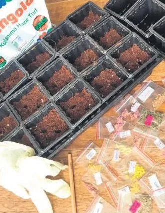 Selin Gökbakar’ın hünerleri bitmiyor - 1