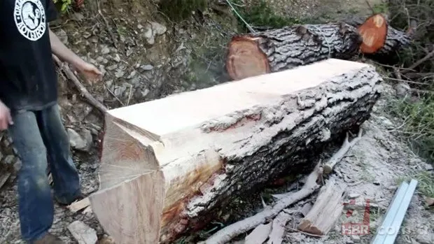 Yol yapımı sırasında bulundu! Milyonlarca yıllık… 24