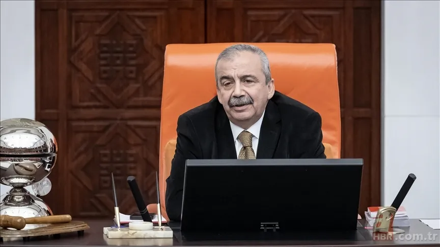 Sırrı Süreyya Önder için saçlarını kesen Sezen Aksu'nun son haline bakın! 2