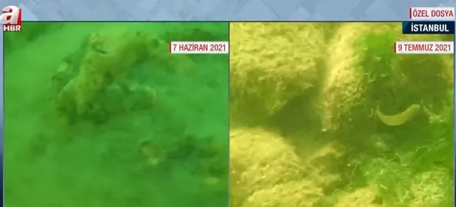 A Haber muhabiri temizlenen denize dalış yaptı! Fark gözler önüne serildi - 4