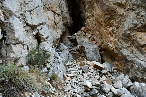 icisleri-bakani-ali-yerlikaya-duyurdu-sehitlerimizin-kani-yerde-kalmadi-2-terorist-etkisiz-hale-getirildi-1700463672867.jpg İçişleri Bakanı Ali Yerlikaya duyurdu! Şehitlerimizin kanı yerde kalmadı 2 terörist etkisiz hale getirildi - 3